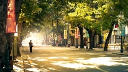 tin thoi tiet hom nay 104 nam bo don mua rao bac bo nang am