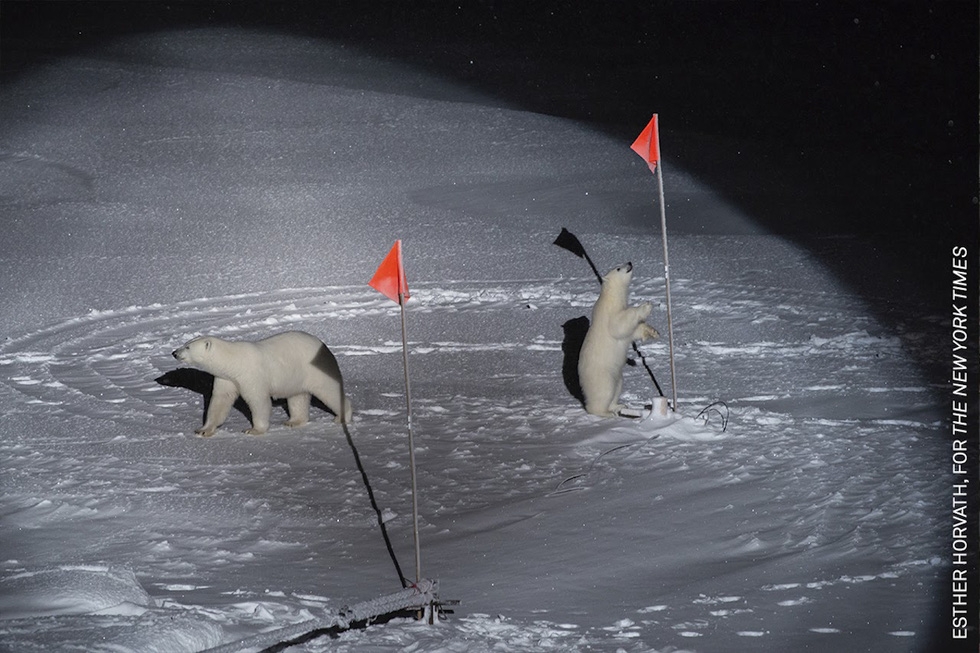 buc anh cuoc noi day o sudan dat giai anh bao chi the gioi