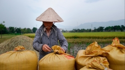 bo tai chinh de xuat mien giam thue su dung dat nong nghiep them 5 nam