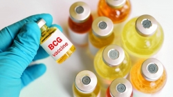 800 bác sĩ tuyến đầu thử nghiệm vắc-xin bệnh lao phòng COVID-19