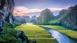 talk show noi tieng tai nga doi thoai ve cong tac phong chong dich covid 19 tai viet nam