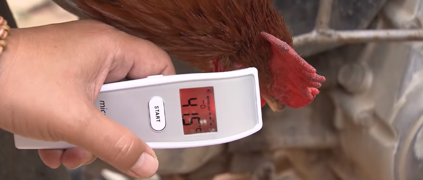 nhung ngay khong quen tap 16 lang yen lap chot kiem dich covid 19 do than nhiet ca ga