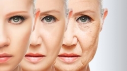 bao nhieu tuoi can bo sung collagen