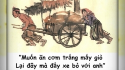 Ôn Ngữ văn thi quốc gia - chỉ cần mỗi ngày 1 giờ