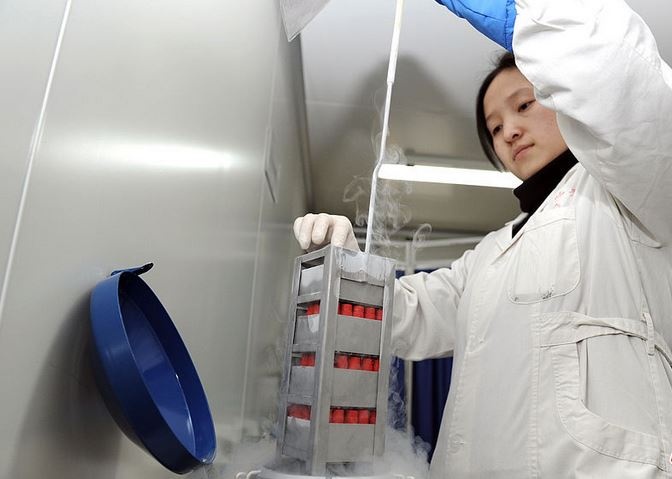 hang chuc ngan hang tinh trung viet nam dang doi con giong