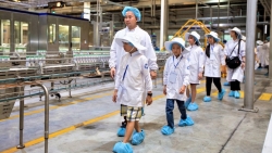 thang khai truong se ban hanh quy chuan sua hoc duong