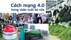 tan mat thay nhung co bo o resort gop cong vao ly sua hoc duong