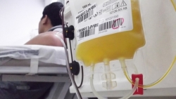 Viện Huyết học kêu gọi hiến tiểu cầu nhóm máu AB và B