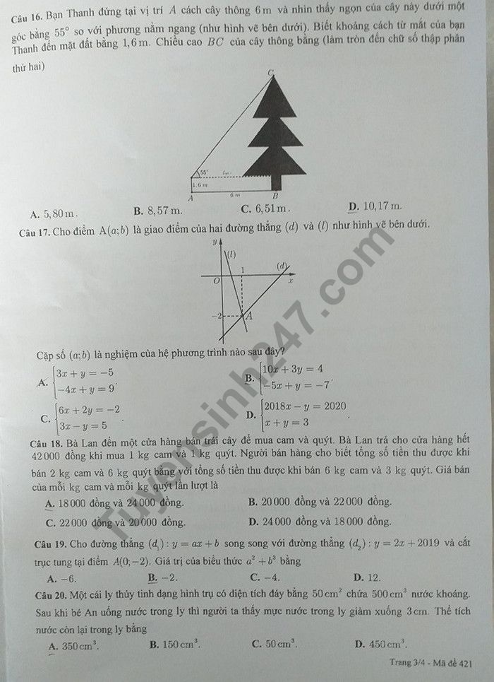 goi y dap an de thi tuyen sinh lop 10 mon toan so gddt can tho 2019