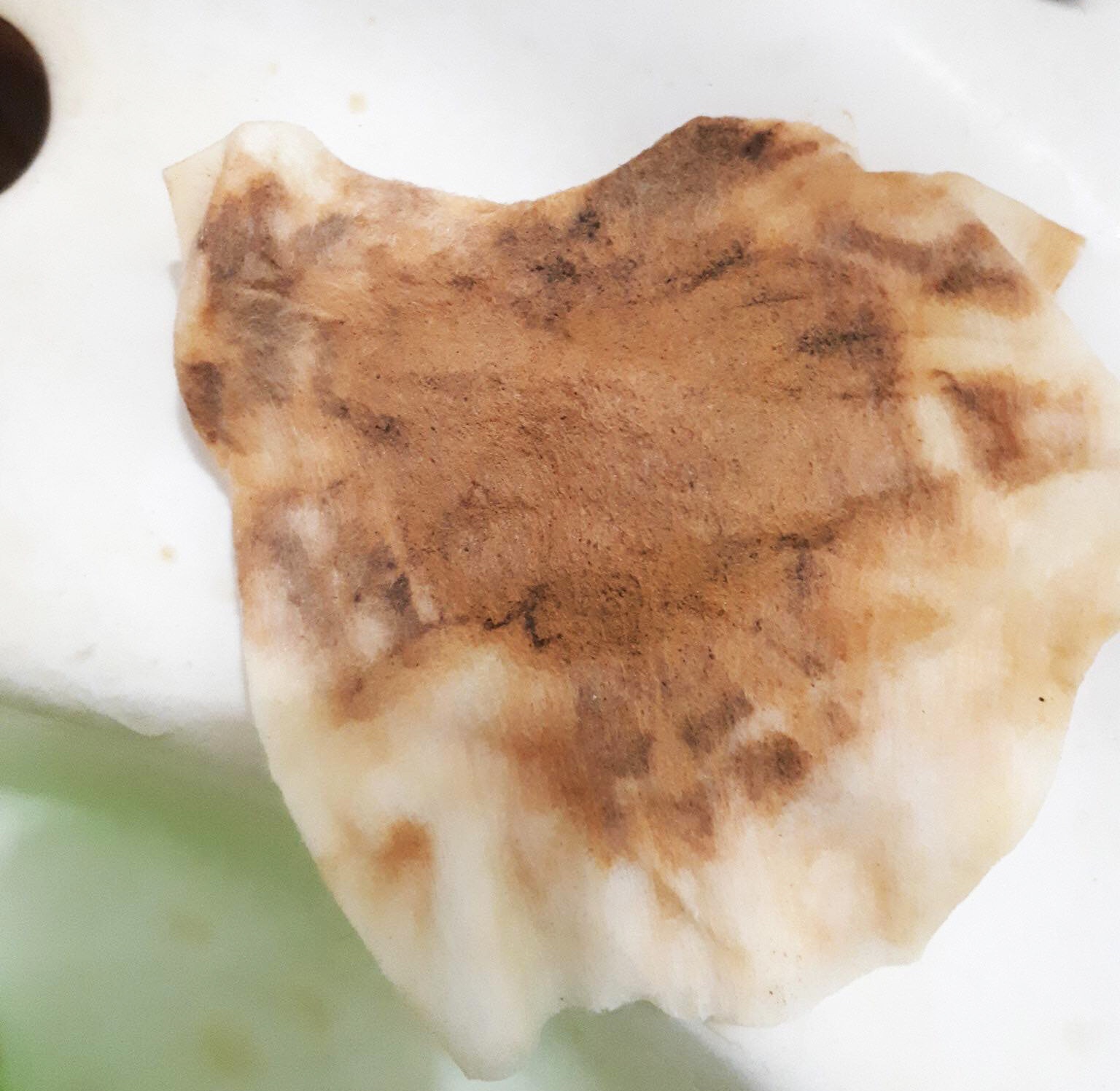 Ký túc xá ĐH Kinh tế Quốc dân cấp nước có "sinh vật lạ" cho sinh viên ky tuc xa dh kinh te quoc dan cap nuoc co sinh vat la cho sinh vien