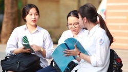 Tra cứu điểm thi tuyển sinh lớp 10 Đà Nẵng năm 2019 nhanh nhất
