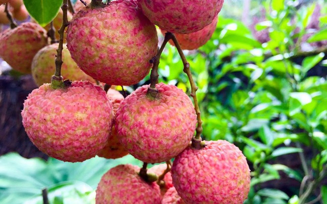 6 meo an vai thieu khong bi nong va ngo doc