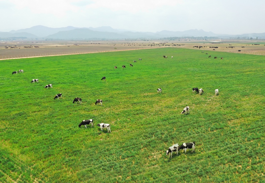 vinamilk la dai dien duy nhat cua chau a trinh bay ve xu huong organic tai hoi nghi sua tuoi toan cau 2019