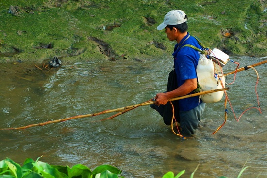 chinh sach noi bat co hieu luc tu thang 72019
