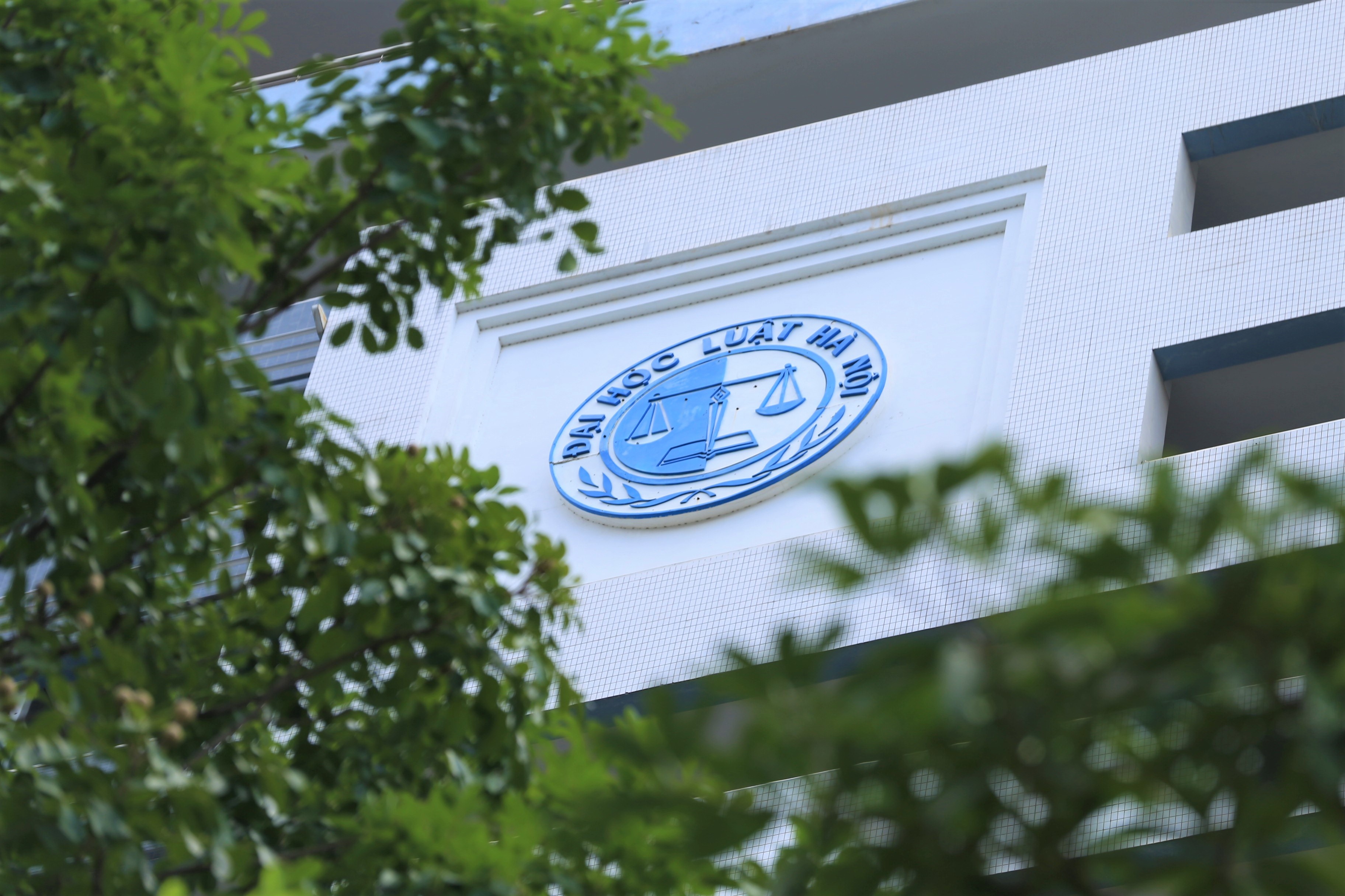 dh luat ha noi cong bo diem san nam 2019