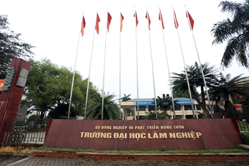 Đại học Lâm nghiệp công bố điểm sàn xét tuyển năm 2019 dai hoc lam nghiep cong bo diem san xet tuyen nam 2019