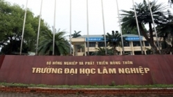 Đại học Lâm nghiệp công bố điểm sàn xét tuyển năm 2019