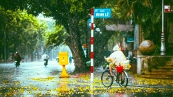 Dự báo thời tiết 25/7: Miền Bắc mưa rào, nhiệt độ cao nhất 33 độ C
