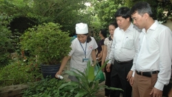 Sở Y tế Hà Nội yêu cầu không tăng giá thuốc điều trị sốt xuất huyết