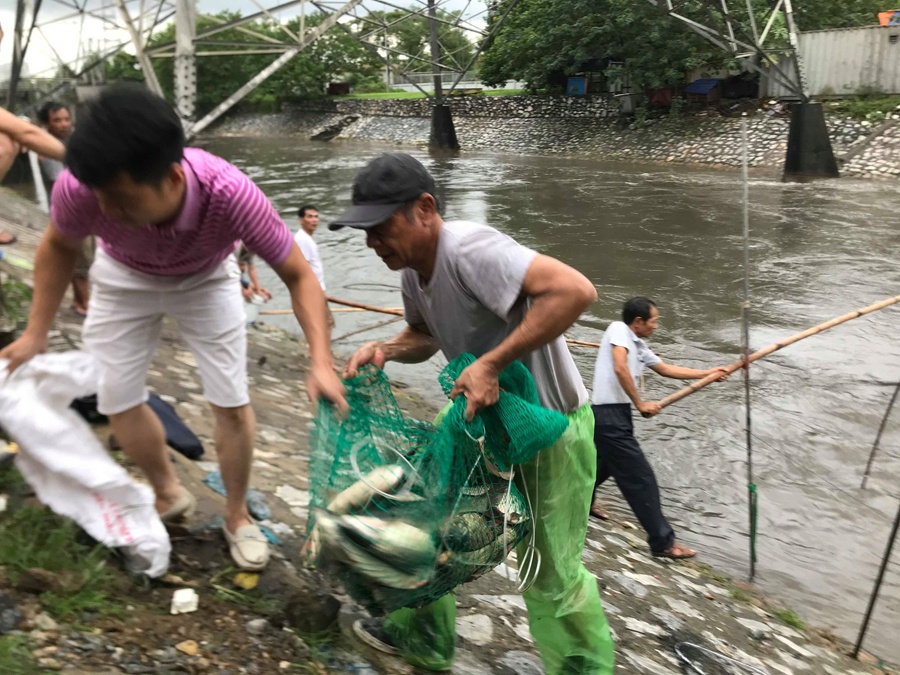 Dân Hà Nội bắt cá ở sông Kim Ngưu sau bão số 3 dan ha noi no nuc bat ca o song kim nguu sau bao so 3