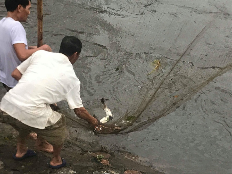 Dân Hà Nội bắt cá ở sông Kim Ngưu sau bão số 3 dan ha noi no nuc bat ca o song kim nguu sau bao so 3