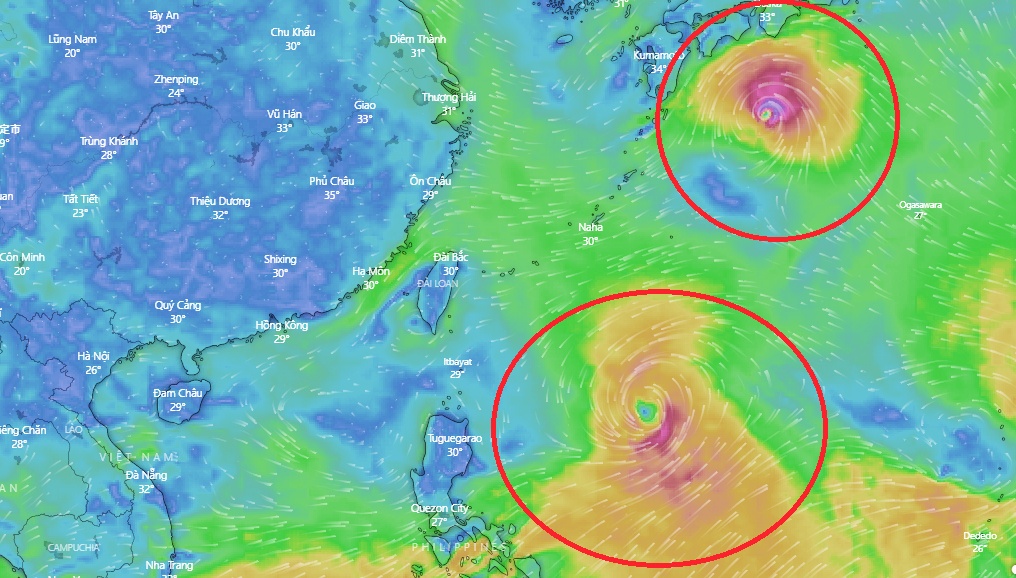 bao so 4 nhieu kha nang xuat hien trong thang 8