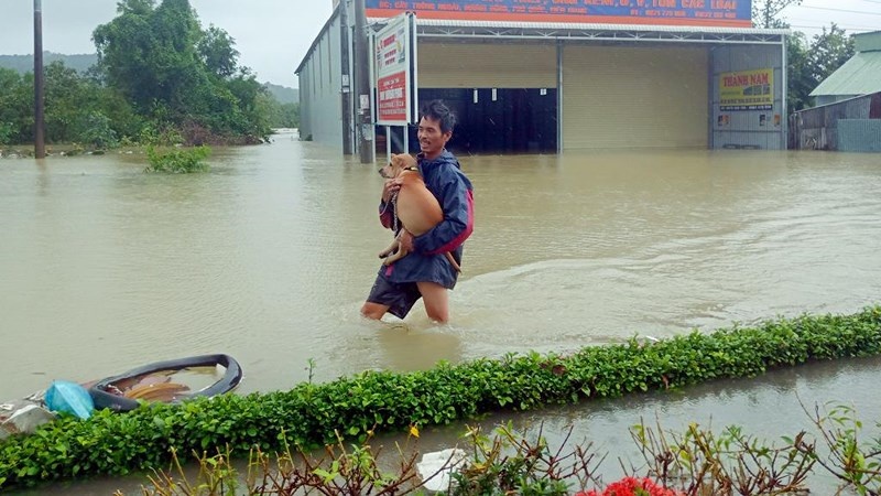 Dự báo thời tiết ngày 10/8: Phú Quốc vẫn mưa rào, Bắc Bộ nắng nóng du bao thoi tiet ngay 108 bac bo nang nong nhieu ngay lien tiep
