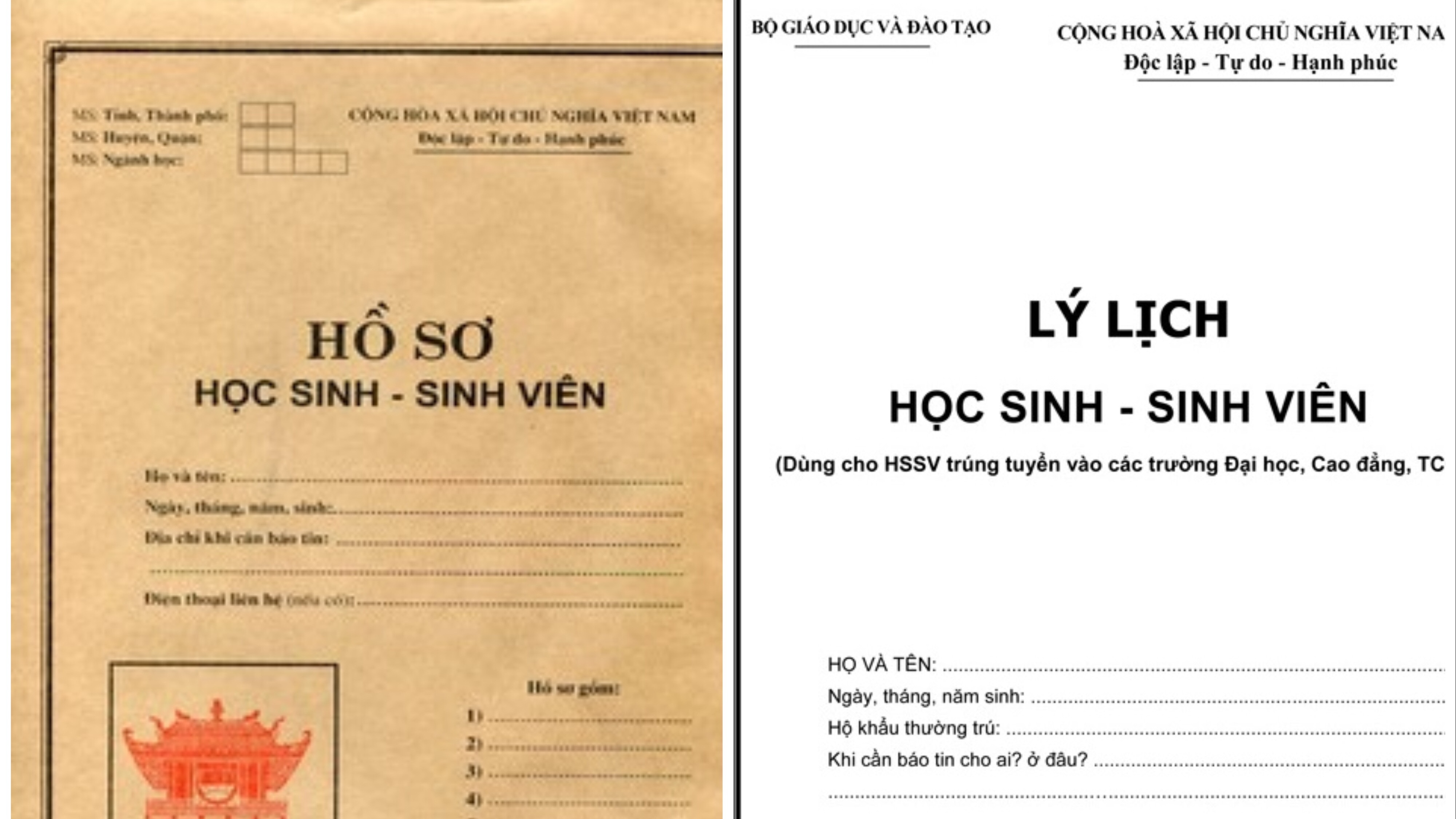 Hướng dẫn viết sơ yếu lý lịch học sinh, sinh viên chính xác nhất
