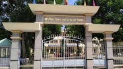 vu giao vien nhot tre trong tu do hoc phi truong mam non quoc te maple bear len toi hon 200 trieu dongnam