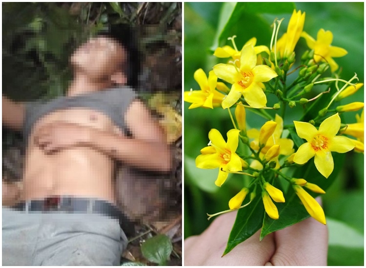 hy huu cuu song benh nhan an la ngon uong thuoc tu tu