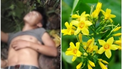 Cứu sống người vừa ăn lá ngón, vừa uống thuốc để tự tử
