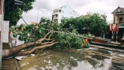 Thiệt hại bão số 4: 3 người chết, nhiều tàu thuyền bị đánh chìm