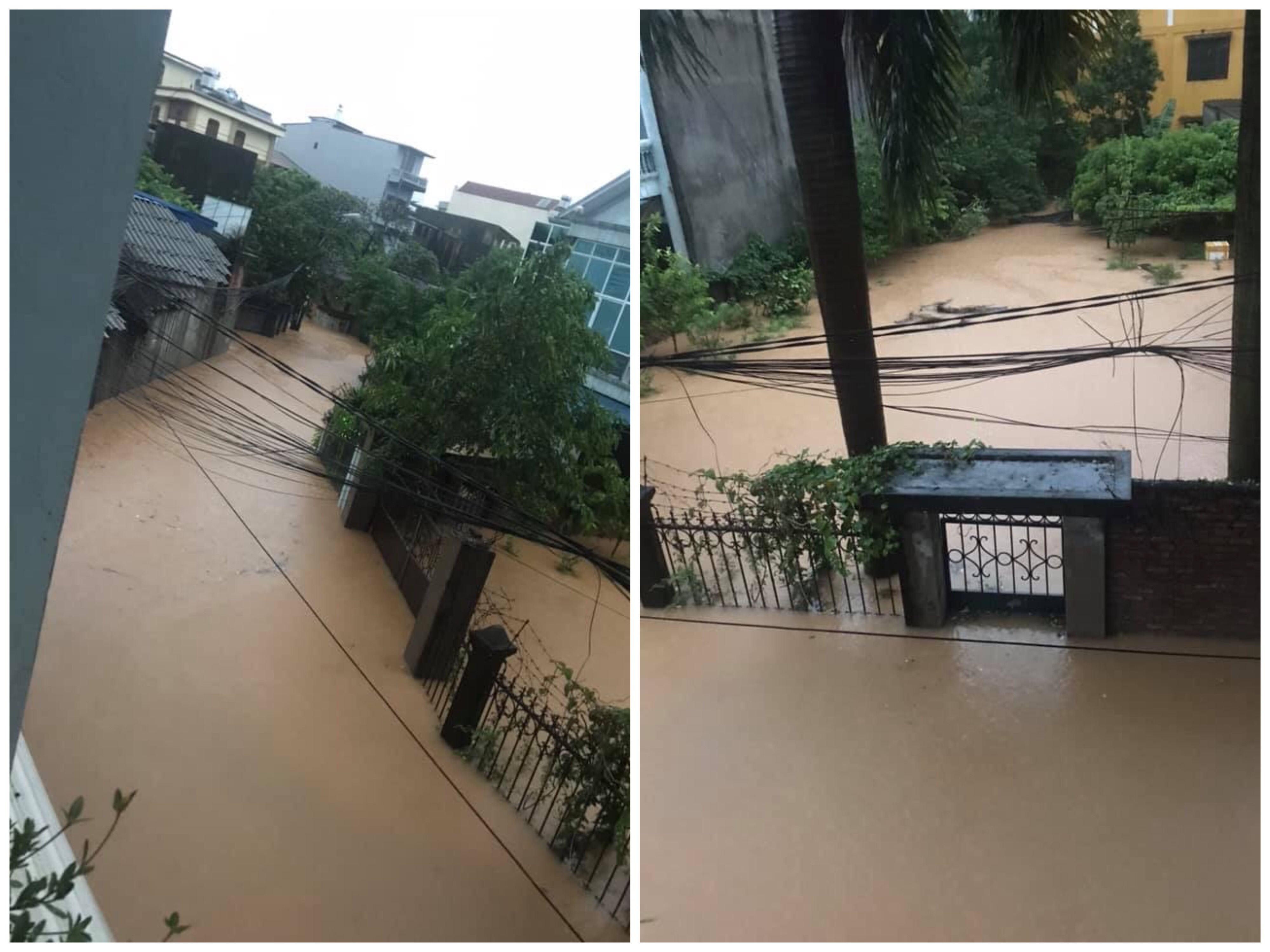 mua to tu dem den sang thai nguyen chim trong bien nuoc