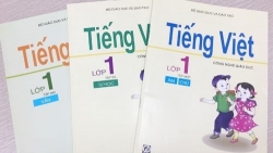 Vì sao sách Công nghệ giáo dục của GS Hồ Ngọc Đại trượt thẩm định?