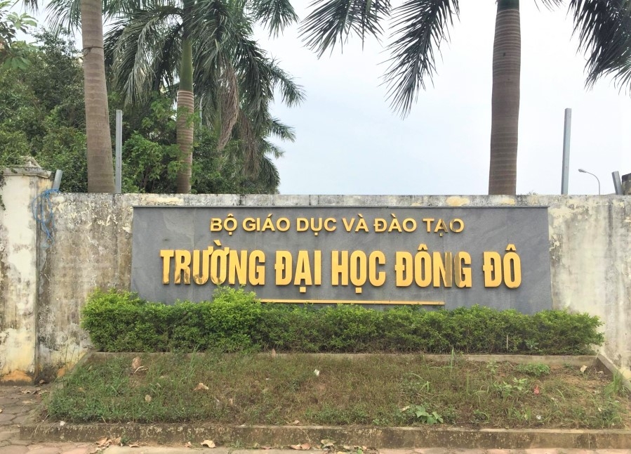 sau vu dh dong do cap van bang sai bo gddt doi don vi cap phoi bang