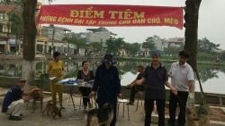 54 người chết vì bệnh dại trong 9 tháng đầu năm