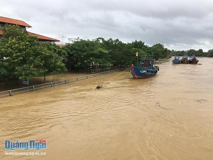 mien trung xo xac sau bao so 5