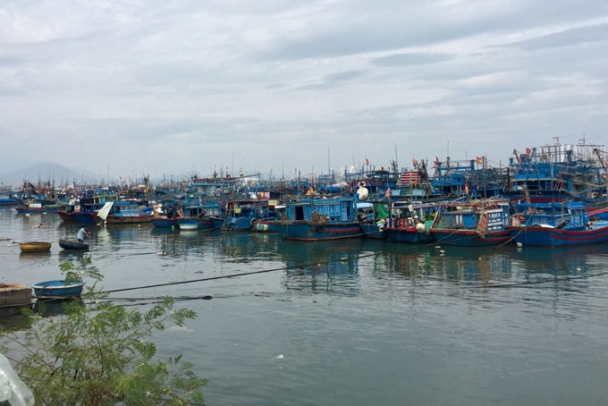 dan mien trung cang minh chong bao so 6