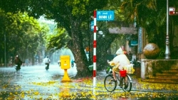 tu chieu 112 nhiet do tai ha noi xuong thap khi mien bac don dot gio mua dong bac moi