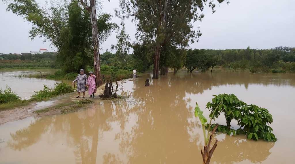 dak lak tan hoang do mua lu sau bao so 6