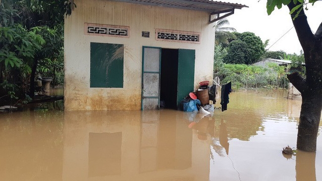 dak lak tan hoang do mua lu sau bao so 6