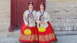 nhan tai goc viet thanh danh tren dat my van khong quen nguon coi