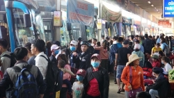 160 cho hoa tet canh ty 2020 se duoc to chuc tai tphcm