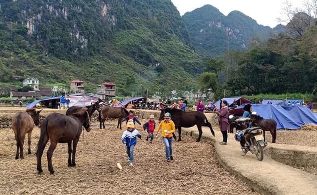 cao bang dong dat lien tuc nguoi dan ra dong dung lan trai da chien