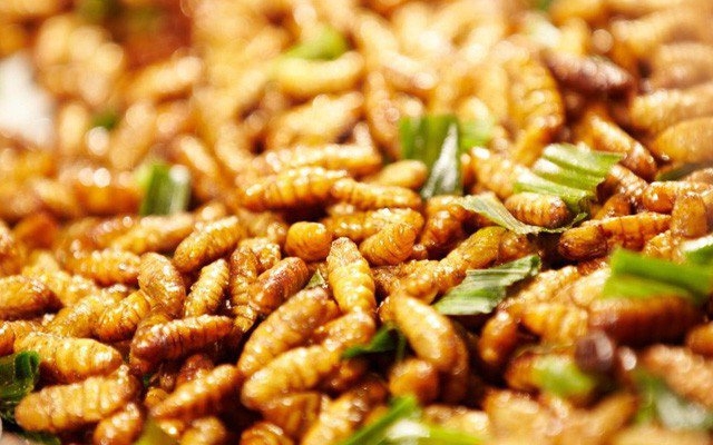 hai phong nguoi dan ong suyt chet sau khi an 15 con nhong tam