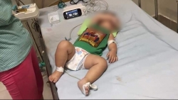 vu 3 anh em ruot tu vong vi whitmore phat hien mau dat nhiem khuan o do sau 90cm