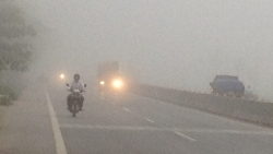 ha noi mu mit chim trong bau khong khi chat luong kem