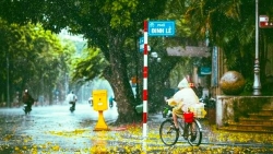 Tin thời tiết hôm nay 27/12: Miền Bắc lại rét đậm, thấp nhất 10 độ C