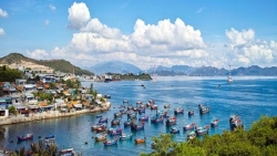 tp hcm cam duong phuc vu ban phao hoa tet duong lich 2020