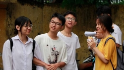 ngam nhat chi mai khoe sac tinh khoi don gio dong goi tet ve